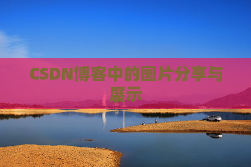 CSDN博客中的图片分享与展示